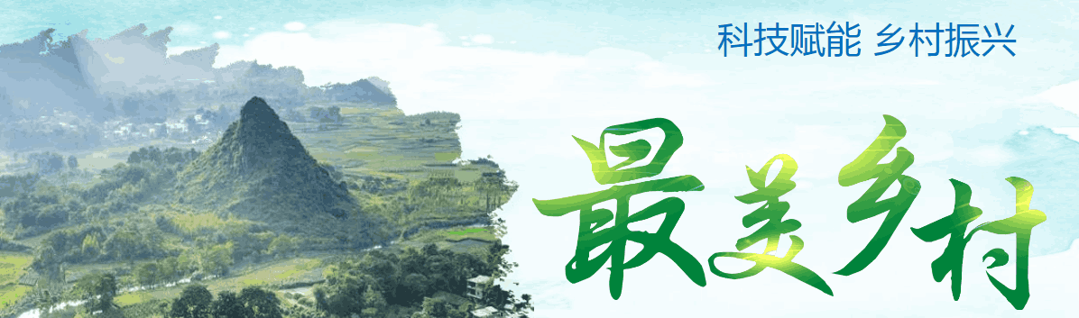 安全 興旺 環(huán)保